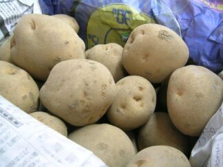 ■送料込み！■【男爵】 北海道オホーツク産じゃがいも　男爵30kg