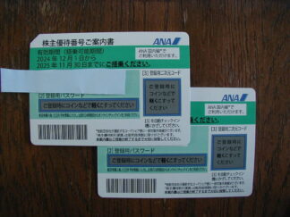 ■■【2枚】 全日本空輸 ANA株主優待券 ~2025/11/30 ■■