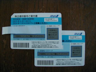 ■■【2枚】 全日本空輸 ANA 株主優待券 ~2026/11/30 ■■